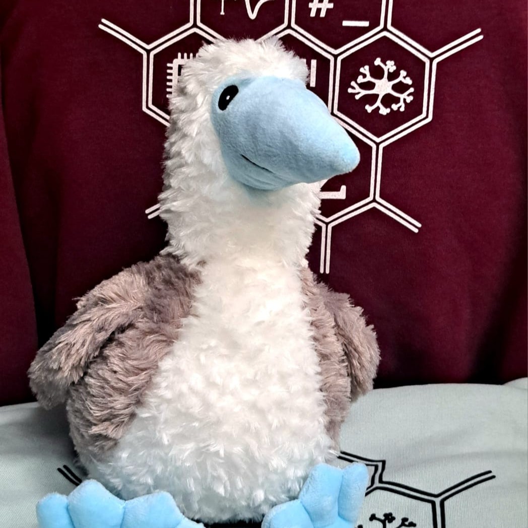 Unser Maskottchen Bluefoot